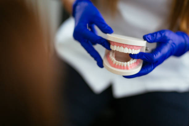 Best Dental Exams and Cleanings  in Lamar, SC
